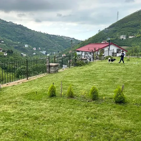 Greenplain Luxury Villa Trabzon