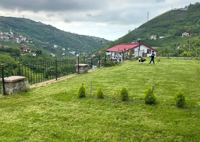 Greenplain Luxury Villa Trabzon